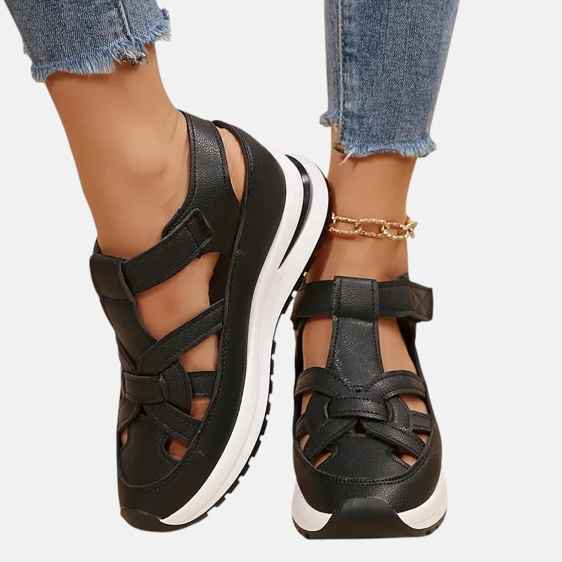 Black / 12